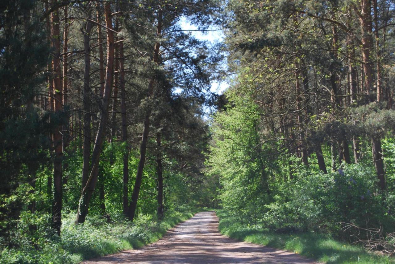 Szydlowiec Anastazewo Extérieur photo