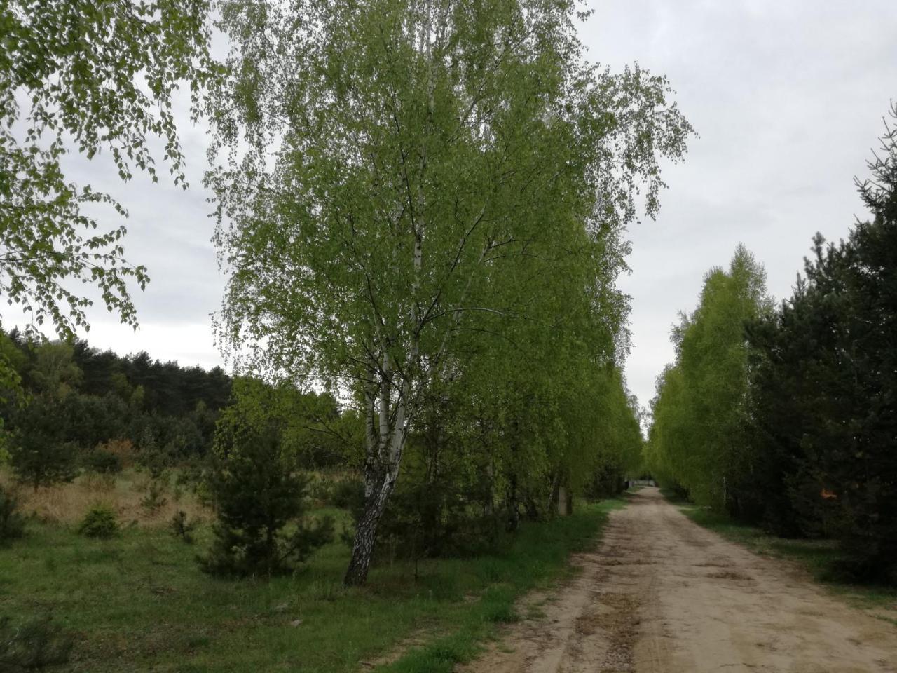 Szydlowiec Anastazewo Extérieur photo